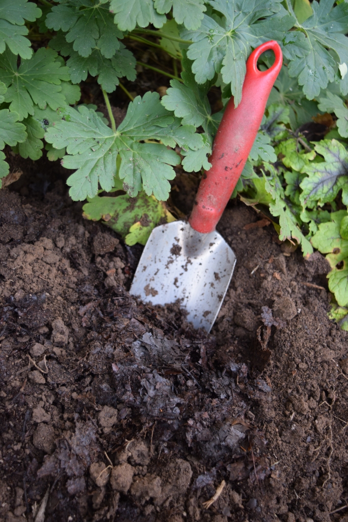 A red-handled shovel poked into soil enriched with leaf mold