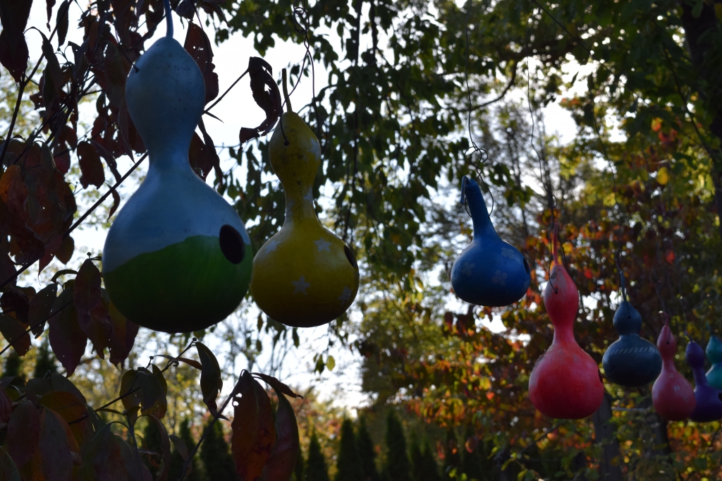 Painted Gourd bird houses handing in the garden at Northview

